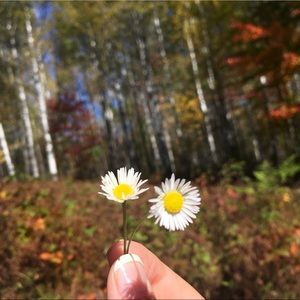 Meet your Posher, Molly